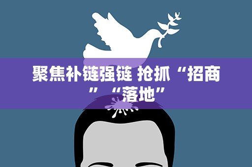 聚焦补链强链 抢抓“招商”“落地”