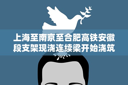上海至南京至合肥高铁安徽段支架现浇连续梁开始浇筑
