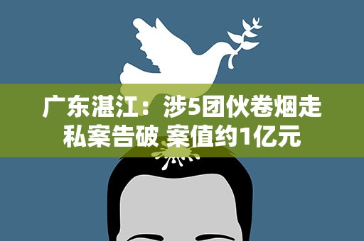广东湛江：涉5团伙卷烟走私案告破 案值约1亿元