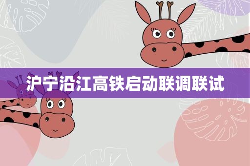 沪宁沿江高铁启动联调联试