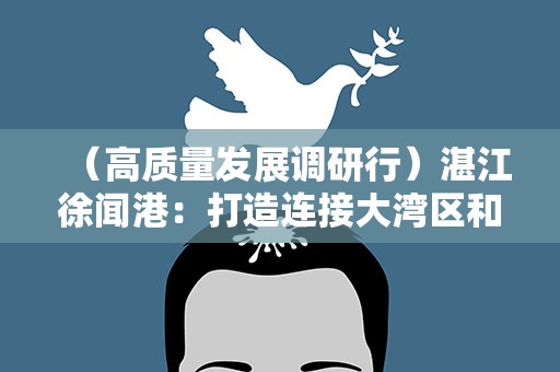 （高质量发展调研行）湛江徐闻港：打造连接大湾区和海南现代化交通枢纽