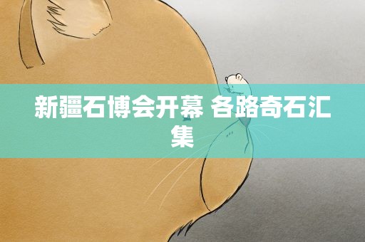 新疆石博会开幕 各路奇石汇集