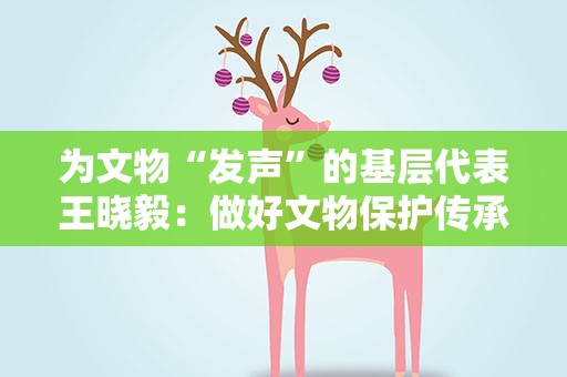 为文物“发声”的基层代表王晓毅：做好文物保护传承者