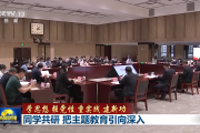 同向发力、同题共答、同学共研！把主题教育引向深入
